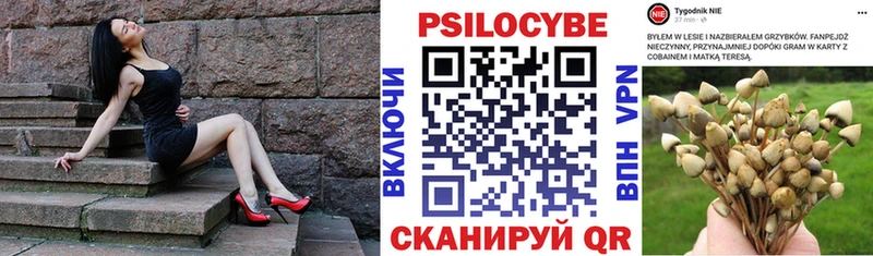 Псилоцибиновые грибы Magic Shrooms  цена наркотик  Щёкино 